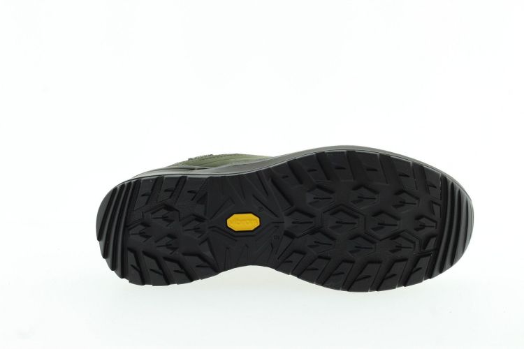 LOWA Schoen GROEN Heren (RENEGADE EVO GTX LO - ) - Schoenen Slaets