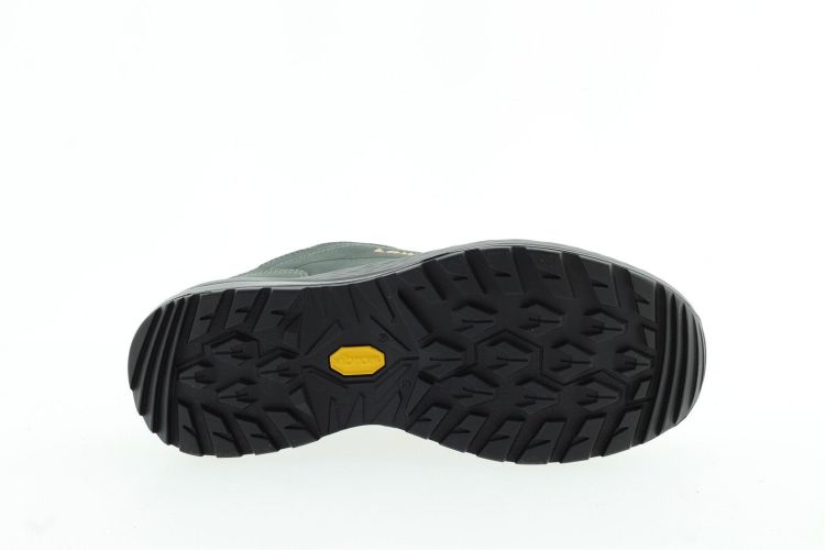 LOWA Schoen Grijs Dames (RENEGADE EVO GTX LO WS - ) - Schoenen Slaets