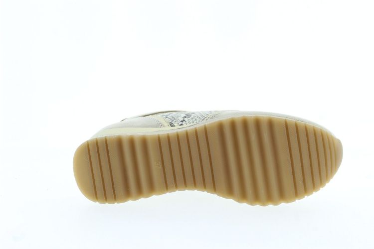 MARCO TOZZI Sneaker Beige Dames (23749 - ) - Schoenen Slaets