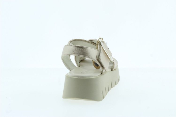 MARCO TOZZI Sandaal CHAMPAGNER Dames (28525 - ) - Schoenen Slaets