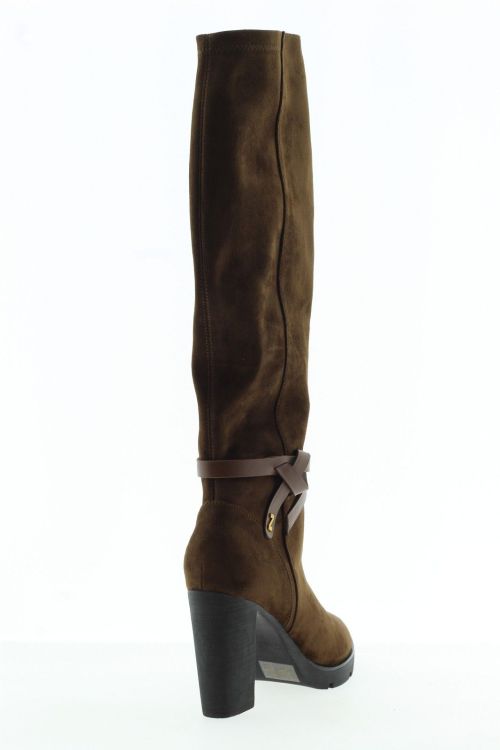 NATHAN BAUME Hoge laars BRUIN Dames (262-N55-03 - ) - Schoenen Slaets