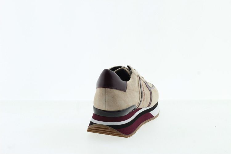 NATHAN BAUME Sneaker Beige Dames (262-NS40-01 - ) - Schoenen Slaets