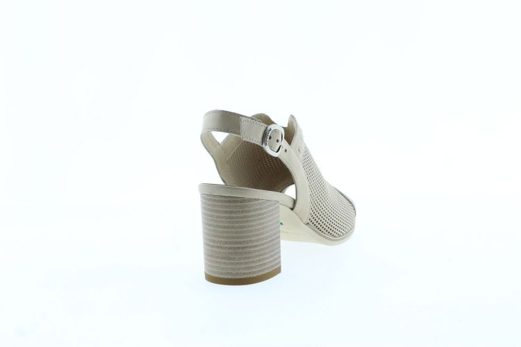 NEROGIARDINI Sandaal TAUPE Dames (513380 - ) - Schoenen Slaets