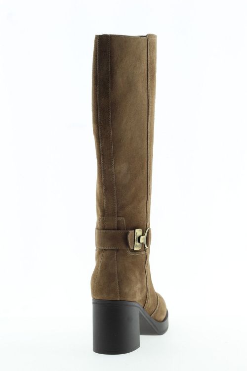 NEROGIARDINI Hoge laars BRUIN Dames (514660 - ) - Schoenen Slaets