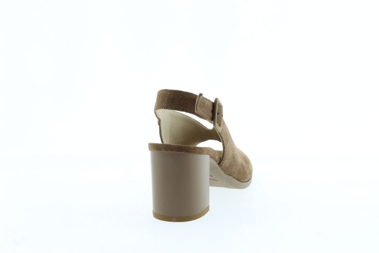 NEROGIARDINI Sandaal BRUIN Dames (615754 - ) - Schoenen Slaets