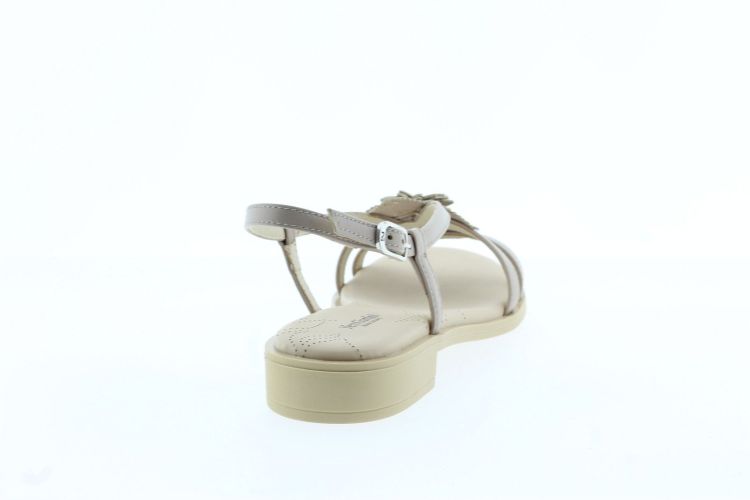 NEROGIARDINI Sandaal ROZE Dames (615901 - ) - Schoenen Slaets