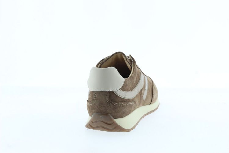 NEROGIARDINI Sneaker BRUIN Dames (617321 - ) - Schoenen Slaets