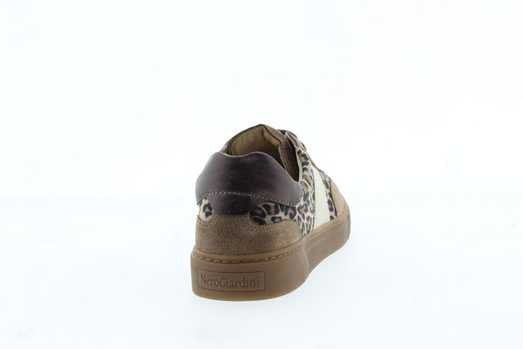 NEROGIARDINI Sneaker BRUIN Dames (617426 - ) - Schoenen Slaets