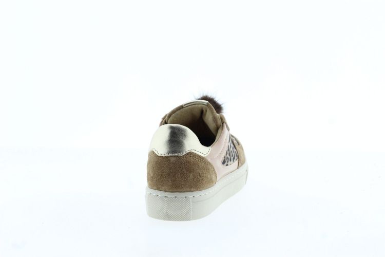 NEROGIARDINI Sneaker BRUIN Meisjes (633721 - ) - Schoenen Slaets