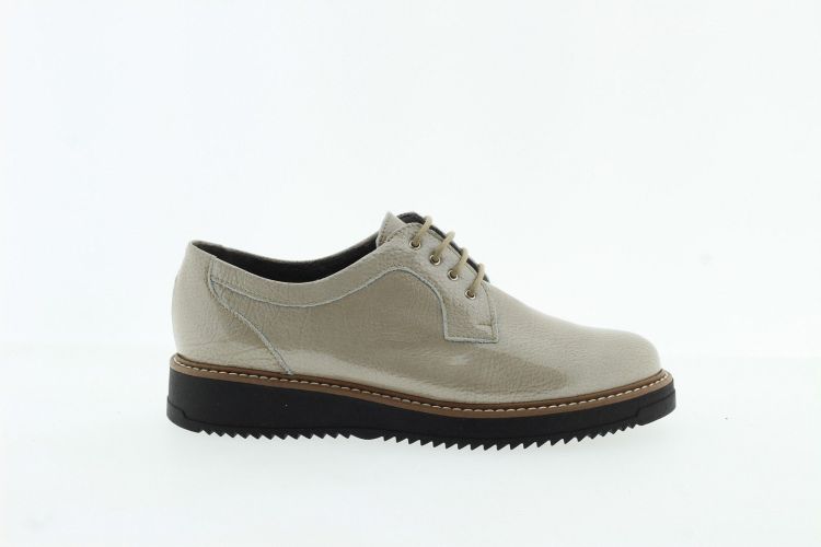 PITILLOS Loafer TAUPE PITILLOS Loafer TAUPE