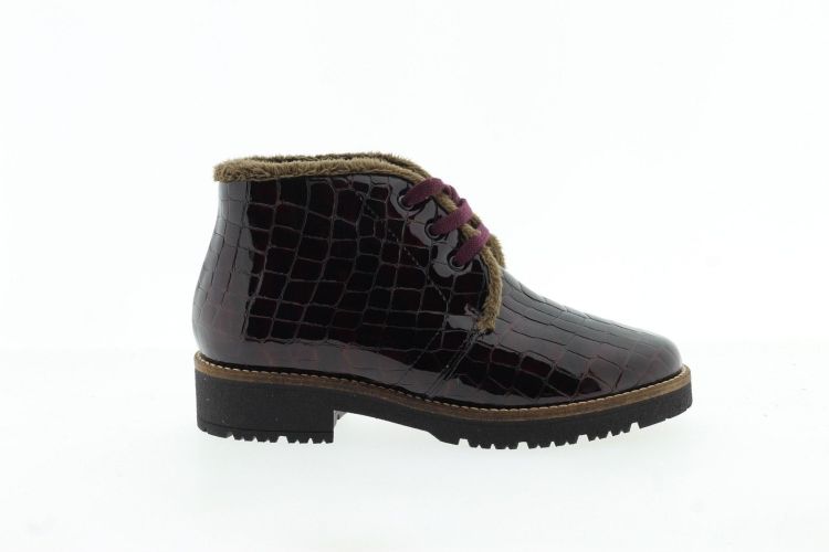 PITILLOS Bottine BORDEAUX