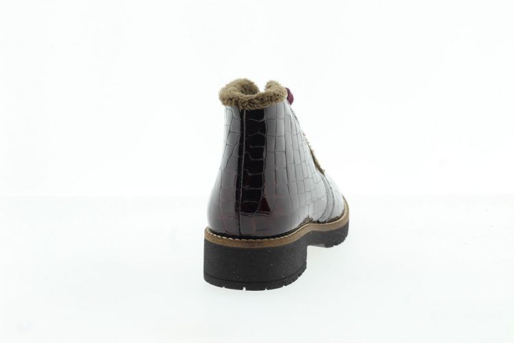 PITILLOS Bottine BORDEAUX Dames (10773 - ) - Schoenen Slaets