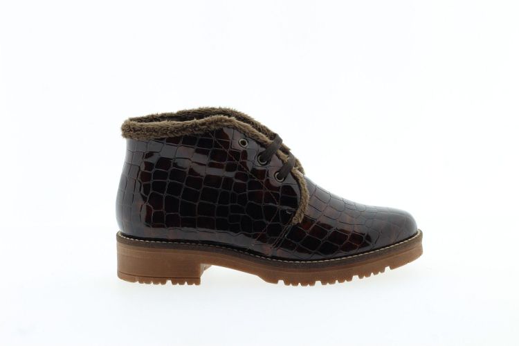 PITILLOS Bottine BRUIN PITILLOS Bottine BRUIN