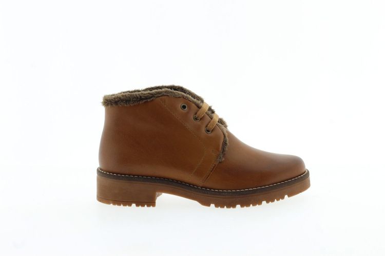 PITILLOS Bottine COGNAC