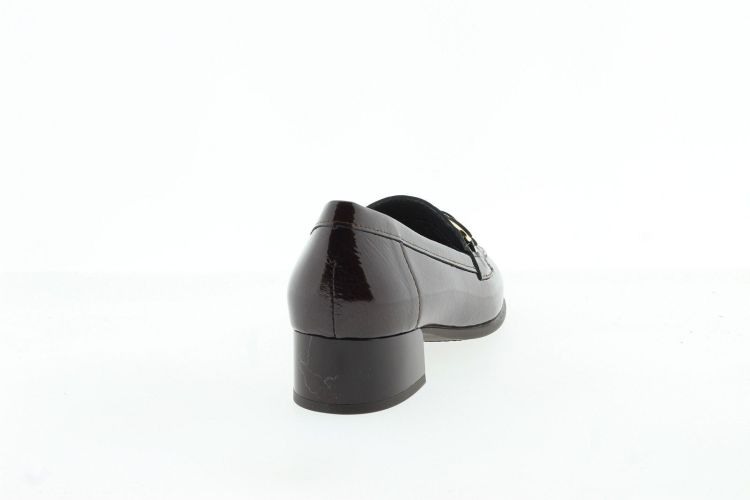 PITILLOS Pump BRUIN Dames (11635 - ) - Schoenen Slaets