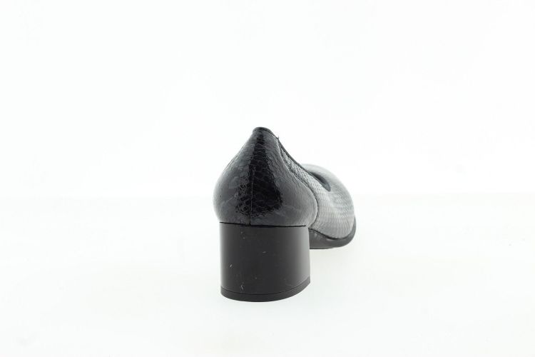 PITILLOS Pump Zwart Dames (11640 - ) - Schoenen Slaets