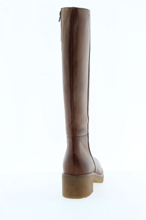 PITILLOS Hoge laars COGNAC Dames (20224 - ) - Schoenen Slaets