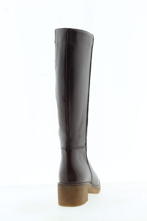 PITILLOS Hoge laars BRUIN Dames (20525 - ) - Schoenen Slaets