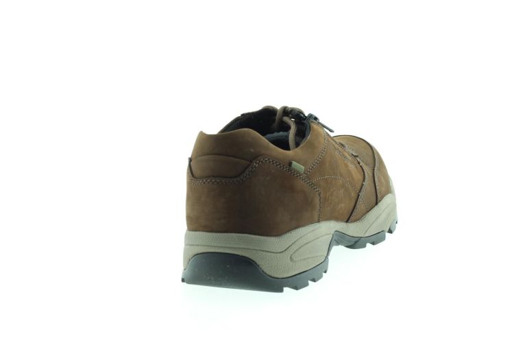 PIUS Sneaker BRUIN Heren (0138.17.01 - ) - Schoenen Slaets