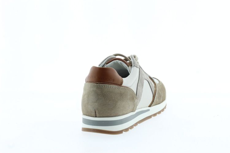 RIVER WOODS Sneaker TAUPE Heren (DIETER - ) - Schoenen Slaets