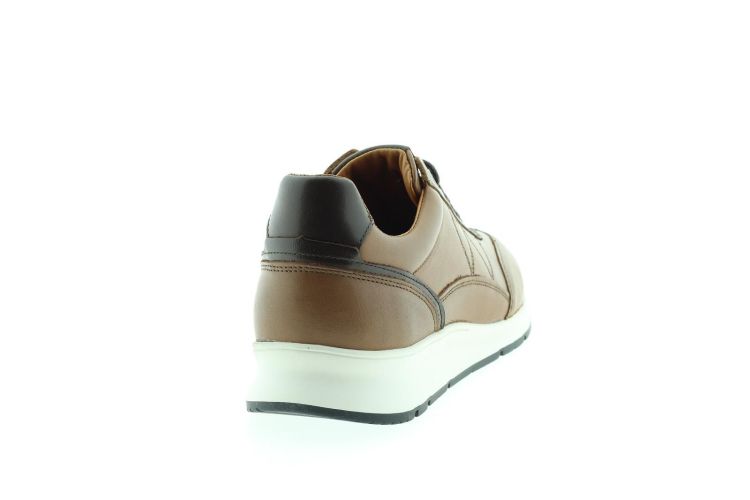 RIVER WOODS Sneaker COGNAC Heren (MARCO - ) - Schoenen Slaets