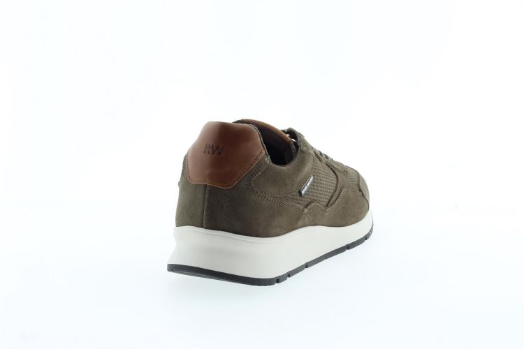 RIVER WOODS Sneaker BRUIN Heren (RUNE - ) - Schoenen Slaets