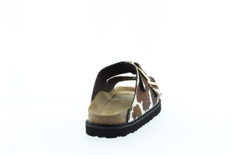 ROHDE Aansteker BRUIN Dames (5532 - ) - Schoenen Slaets