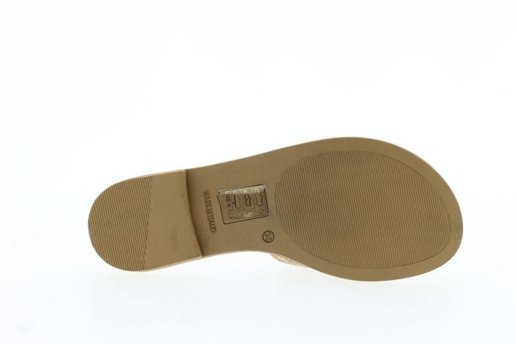 SCAPA Aansteker GOUD Dames (21/13215 - ) - Schoenen Slaets