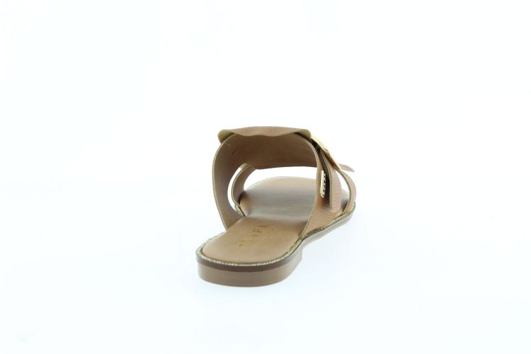 SCAPA Aansteker COGNAC Dames (21/5537D - ) - Schoenen Slaets