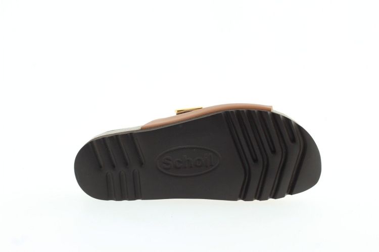 SCHOLL Aansteker COGNAC Dames (315541013 - ) - Schoenen Slaets