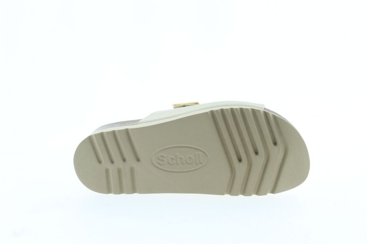 SCHOLL Aansteker Beige Dames (315541030 - ) - Schoenen Slaets