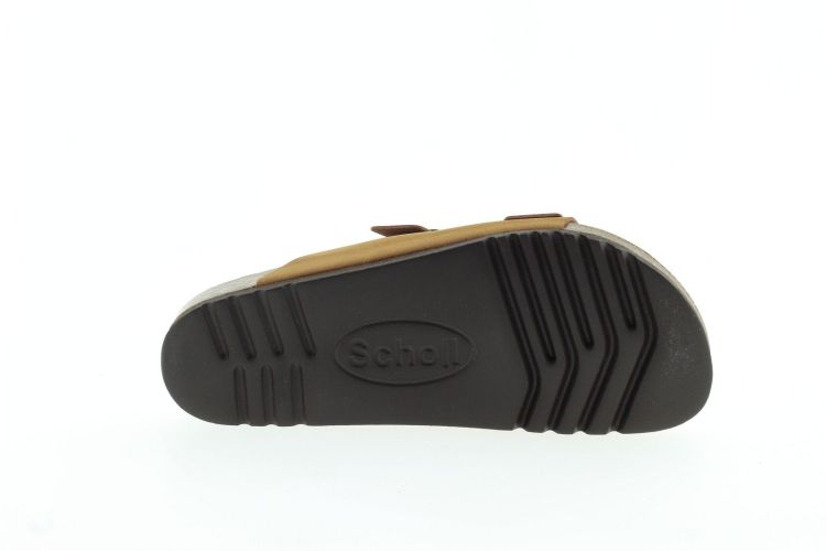 SCHOLL Aansteker COGNAC Heren (321441061 - ) - Schoenen Slaets