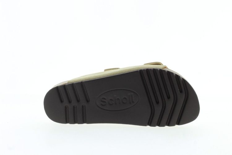 SCHOLL Aansteker Beige Dames (JOSEPHINE - ) - Schoenen Slaets