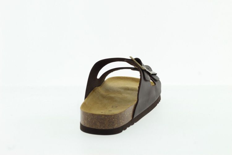 SCHOLL Aansteker BRUIN Heren (JULIEN  - ) - Schoenen Slaets