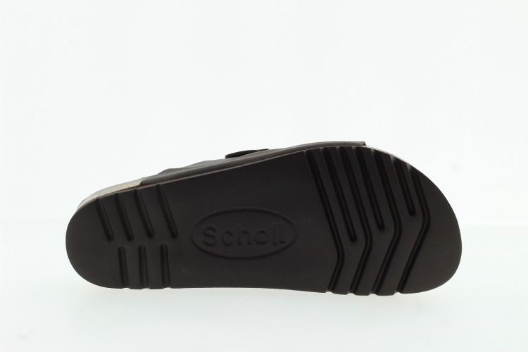 SCHOLL Aansteker BRUIN Heren (JULIEN  - ) - Schoenen Slaets