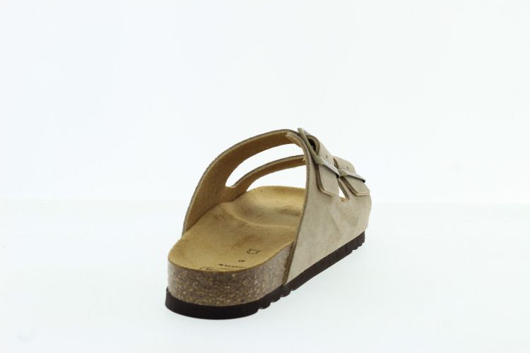 SCHOLL Aansteker TAUPE Heren (JULIEN  - ) - Schoenen Slaets