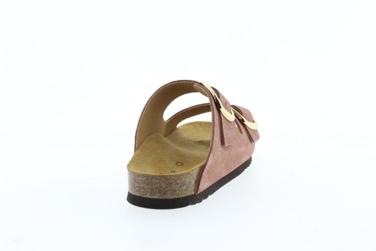 SCHOLL Aansteker ROZE Dames (NOELLE - ) - Schoenen Slaets