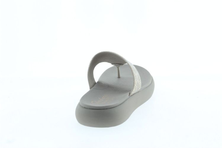 SKECHERS Teenslipper TAUPE Dames (164197 - ) - Schoenen Slaets