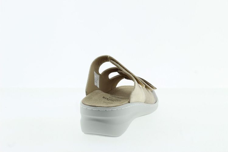 SOLIDUS Aansteker CHAMPAGNER Dames (21154 H - ) - Schoenen Slaets