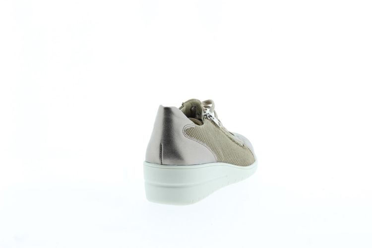 SOLIDUS Sneaker TAUPE Dames (25021 - ) - Schoenen Slaets
