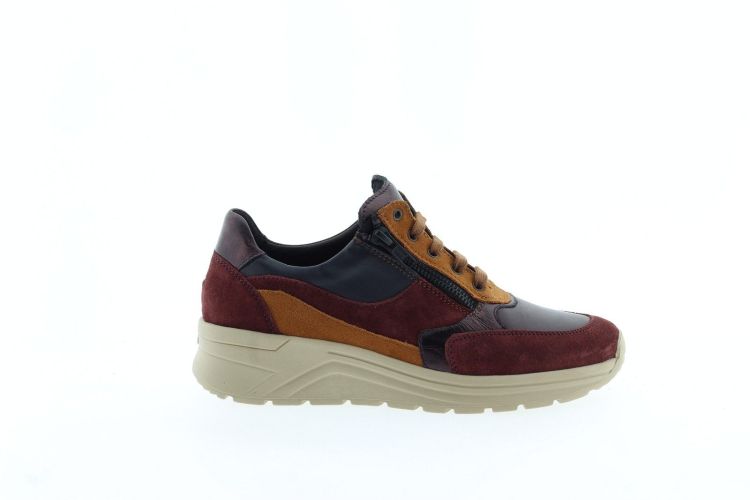 SOLIDUS Sneaker BORDEAUX