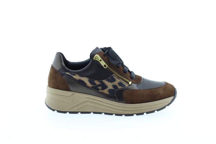 SOLIDUS Sneaker BRUIN