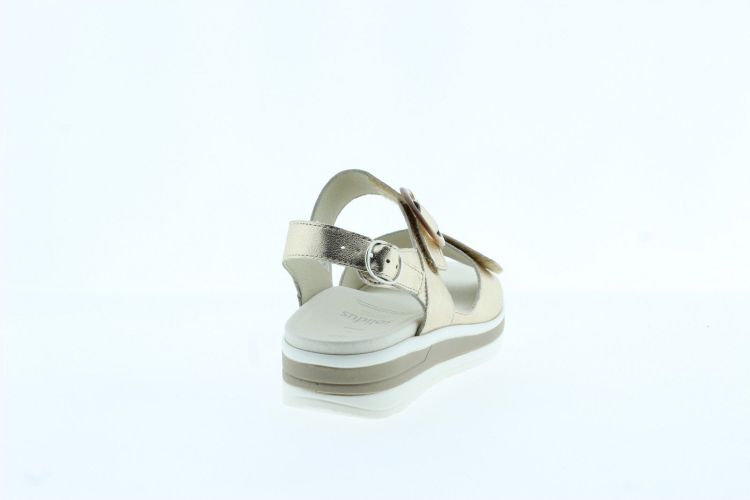 SOLIDUS Sandaal CHAMPAGNER Dames (48022 G - ) - Schoenen Slaets