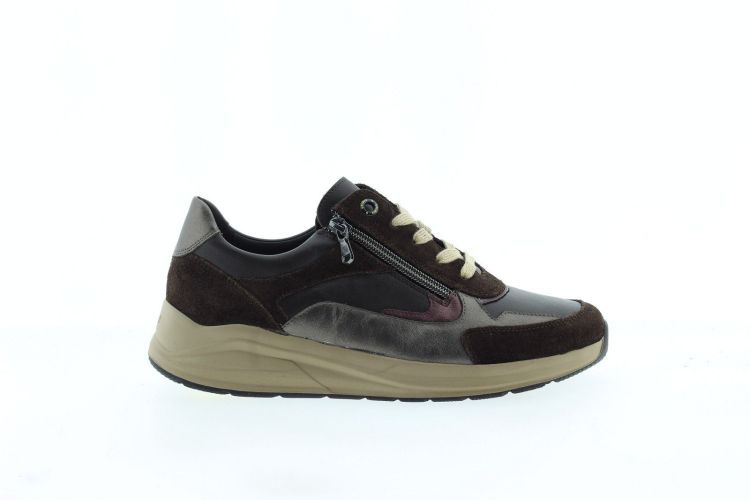 SOLIDUS Sneaker BRUIN