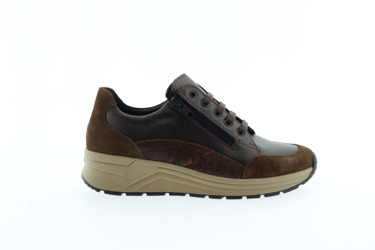 SOLIDUS Sneaker BRUIN SOLIDUS Sneaker BRUIN