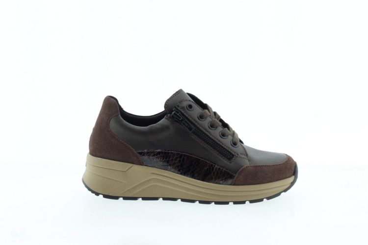 SOLIDUS Sneaker BRUIN
