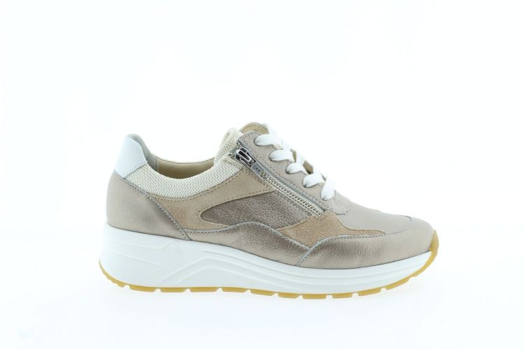 SOLIDUS Sneaker CHAMPAGNER