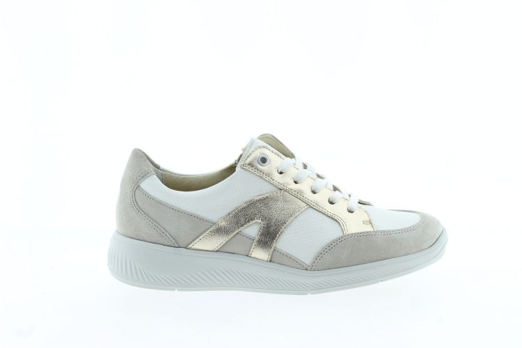 SOLIDUS Sneaker Wit