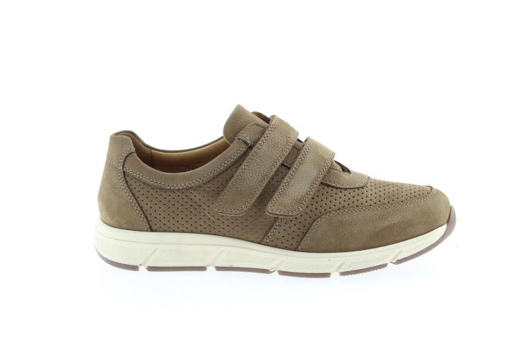 SOLIDUS Sneaker Beige