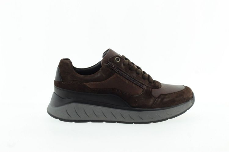 SOLIDUS Sneaker BRUIN